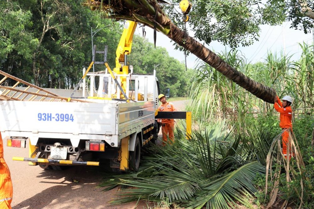 Lịch cắt điện Đồng Nai ngày 4/6/2026 cập nhật mới nhất
